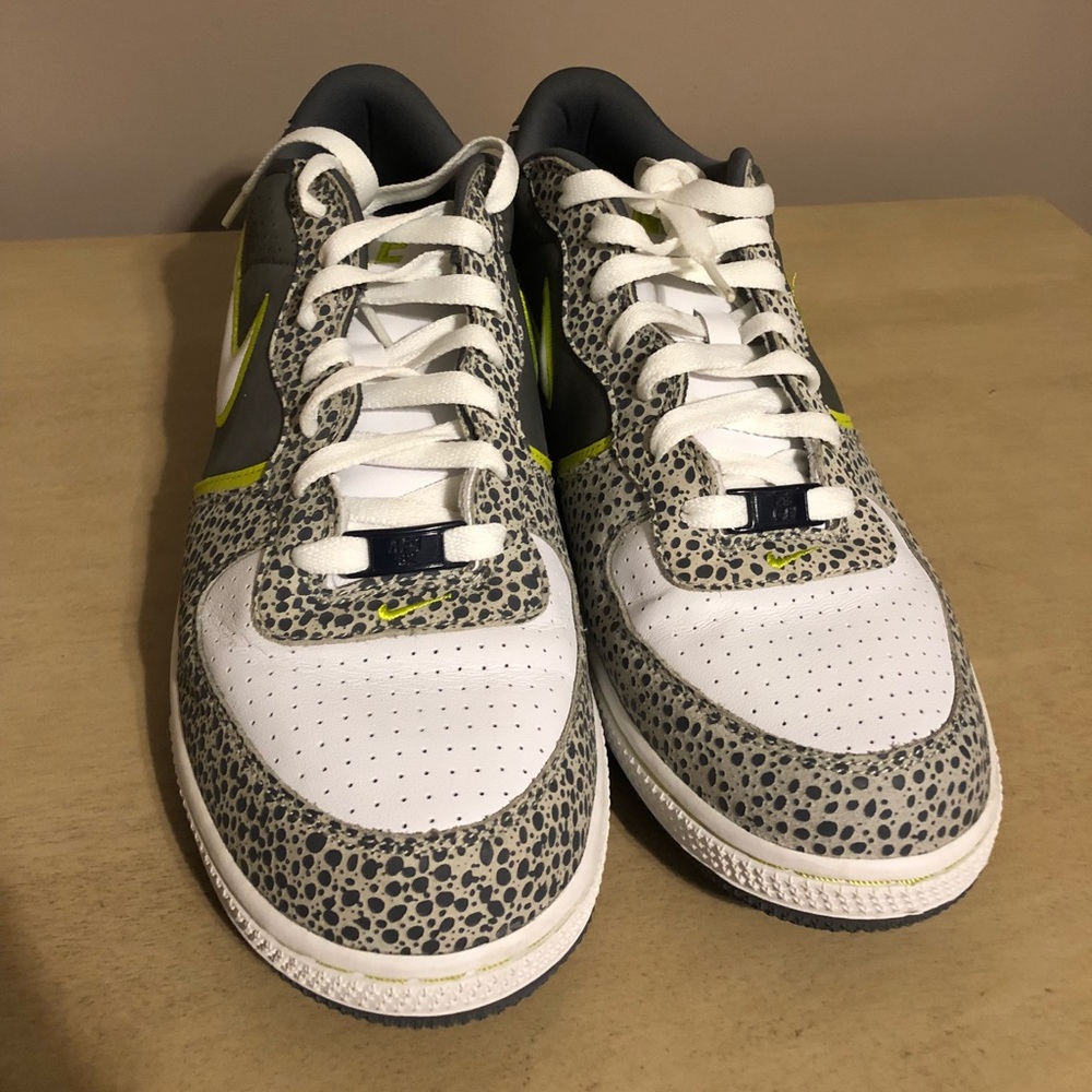 SB05. Nike zoom air low